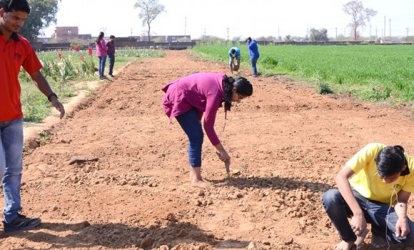 Cultivating Excellence: M.Sc. Agriculture at ITM University Gwalior