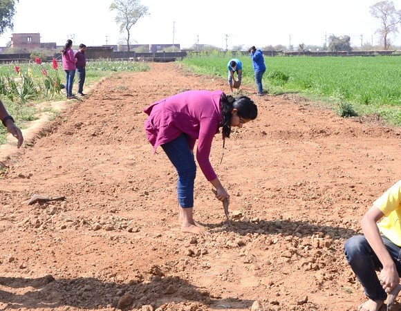 Cultivating Excellence: M.Sc. Agriculture at ITM University Gwalior